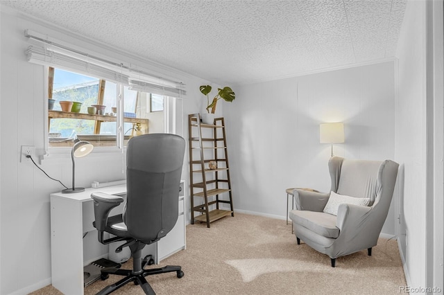4544 W 65th Ave, Arvada, CO 80003 - office space with a textured ceiling and carpet floors