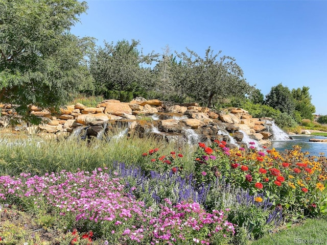 16550 Antero Cir, Broomfield, CO 80023 - view of yard