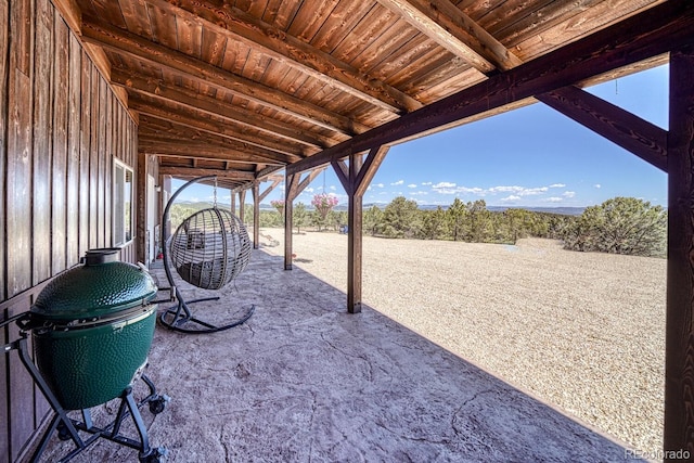 1625 Black Cloud Cir, Westcliffe, CO 81252 - view of patio with grilling area