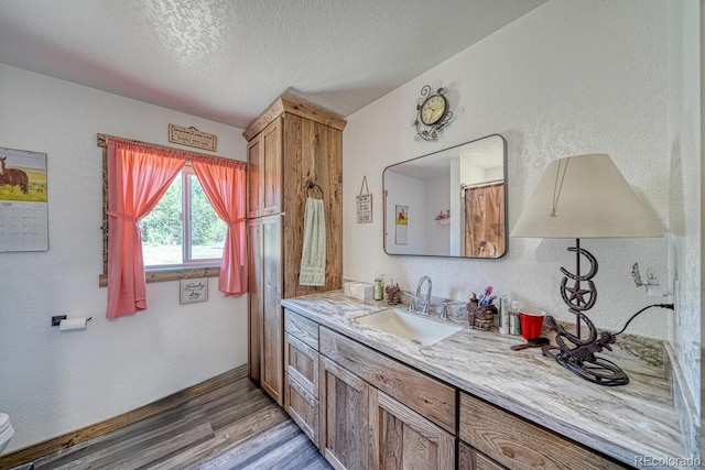 1625 Black Cloud Cir, Westcliffe, CO 81252 - bathroom with vanity, wood finished floors, a textured ceiling, and a textured wall