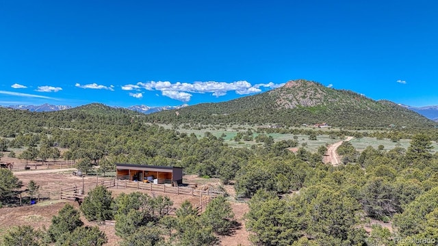 1625 Black Cloud Cir, Westcliffe, CO 81252 - view of mountain backdrop