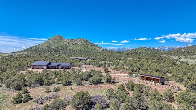 1625 Black Cloud Cir, Westcliffe, CO 81252 - view of mountain backdrop with a forest