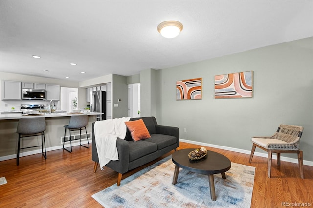 living room featuring light hardwood / wood-style flooring and sink