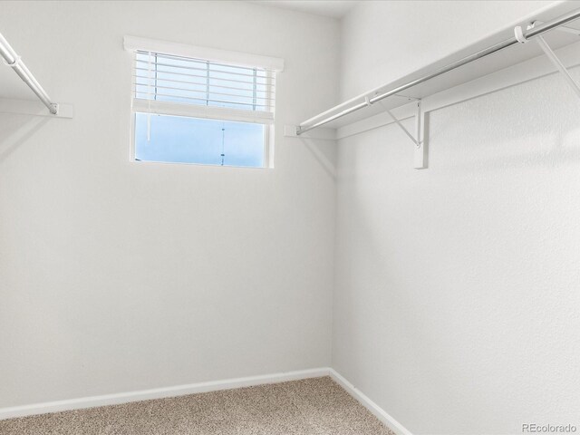 1618 Riverplace Dr Unit 1, Windsor, CO 80550 - photo 24