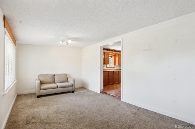 1175 Xanthia, Denver, CO 80220 - unfurnished room with carpet floors and a textured ceiling