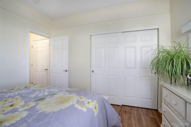 bedroom with light wood-style floors and a closet