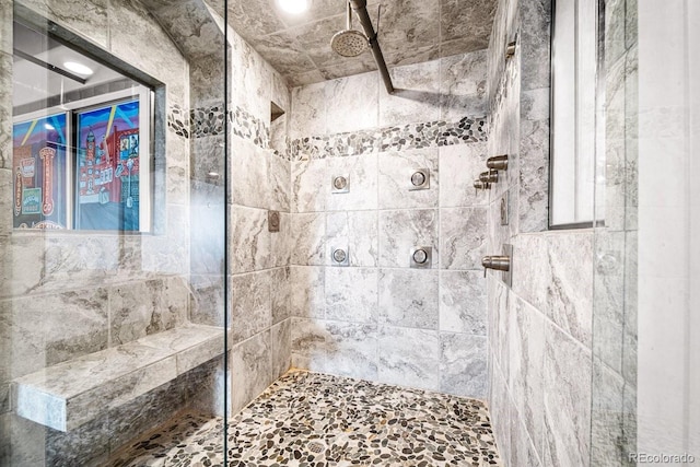201 Lamkin St Unit 204, Pueblo, CO 81003 - bathroom featuring tiled shower