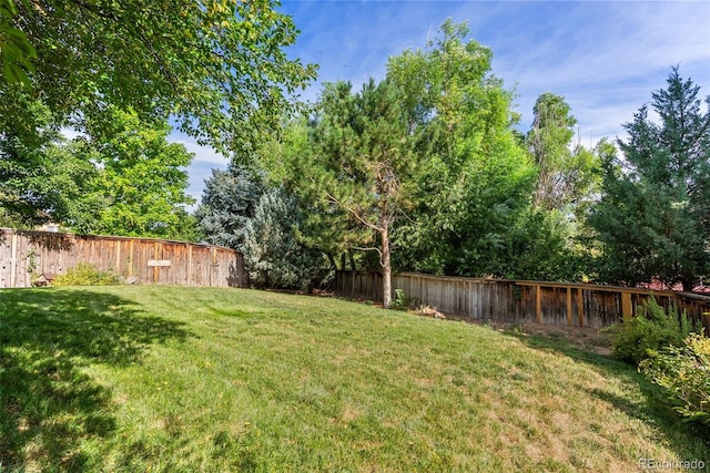 2337 Gold Dust Ln, Highlands Ranch, CO 80129 - photo 31