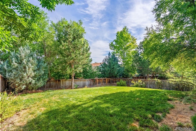 2337 Gold Dust Ln, Highlands Ranch, CO 80129 - photo 32