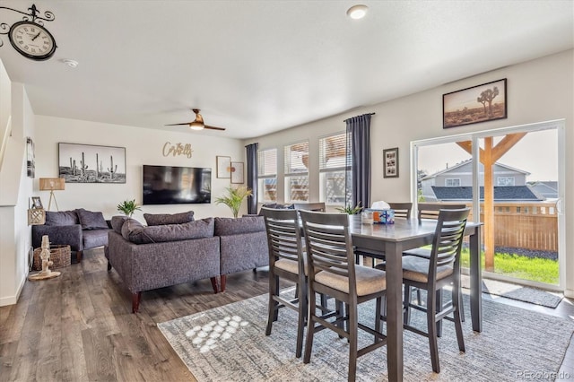 dining room featuring wood finished floors and a ceiling fan