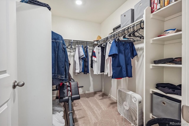 walk in closet featuring carpet flooring