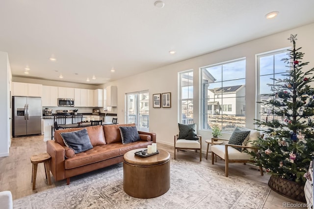 living room with light hardwood / wood-style flooring