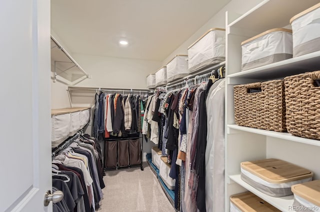 walk in closet featuring light carpet