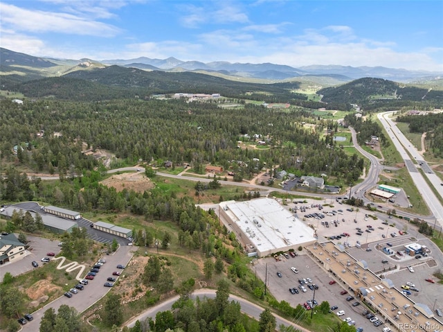 11000 Kitty Dr, Conifer, CO 80433