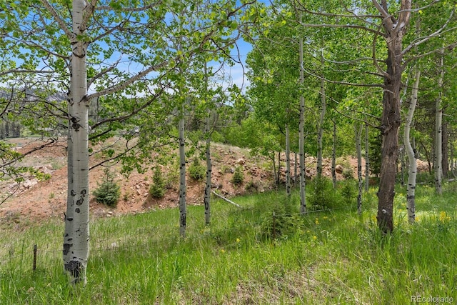 11000 Kitty Dr, Conifer, CO 80433