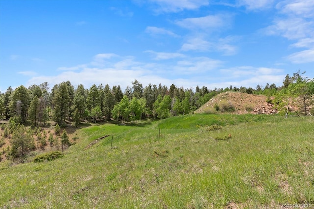 11000 Kitty Dr, Conifer, CO 80433