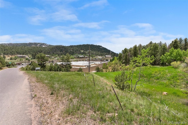 11000 Kitty Dr, Conifer, CO 80433