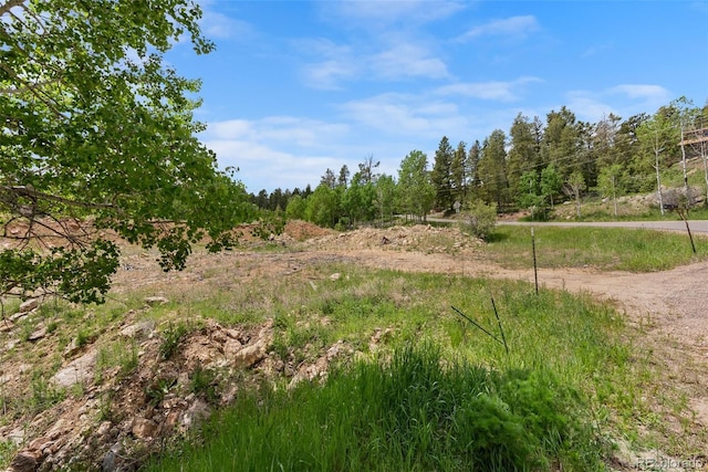 11000 Kitty Dr, Conifer, CO 80433