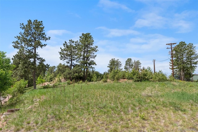 11000 Kitty Dr, Conifer, CO 80433