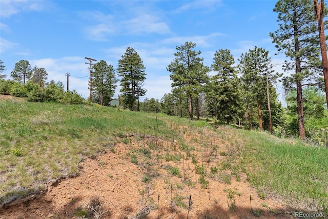 11000 Kitty Dr, Conifer, CO 80433