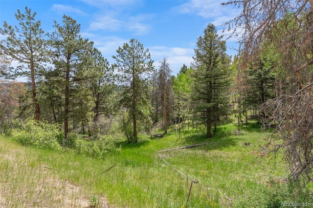 11000 Kitty Dr, Conifer, CO 80433