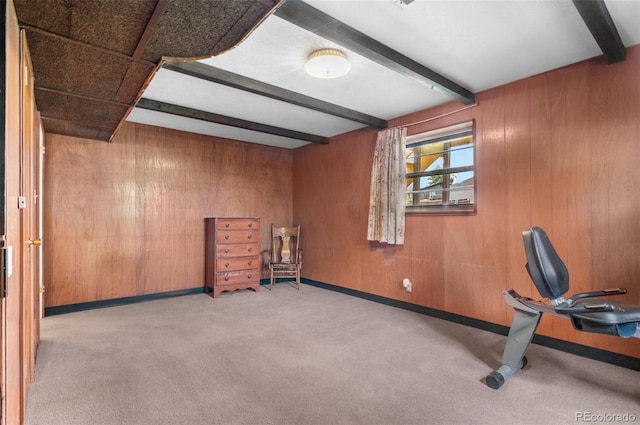 workout area with wood walls and carpet