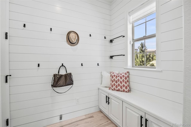 10757 Timberdash Ave, Highlands Ranch, CO 80126 - mudroom with healthy amount of natural light and light wood-style floors