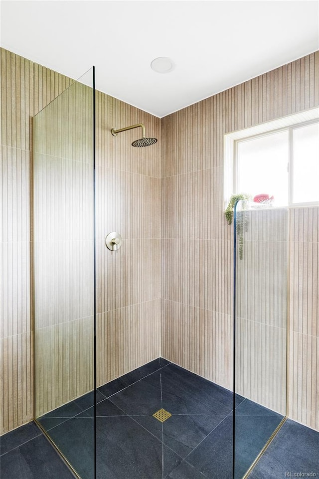 1330 Olive St, Denver, CO 80220 - bathroom with a walk in shower