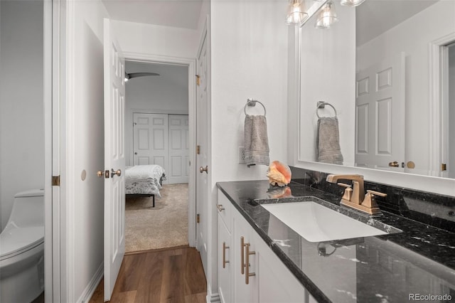 bathroom with toilet, vanity, and wood finished floors