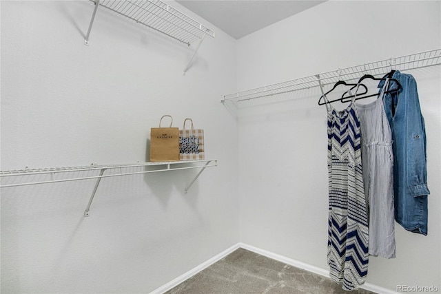 9080 Gale Blvd Unit 4, Thornton, CO 80260 - walk in closet featuring carpet floors