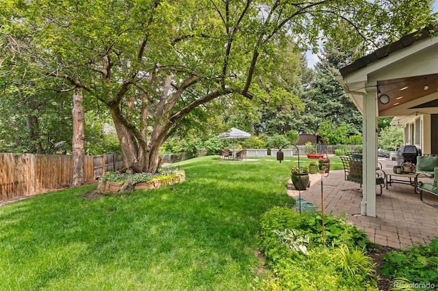 6128 S Coventry Ln E, Littleton, CO 80123 - view of yard featuring a patio