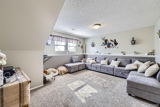 12425 Bellaire Dr, Thornton, CO 80241 - living area with carpet and a textured ceiling