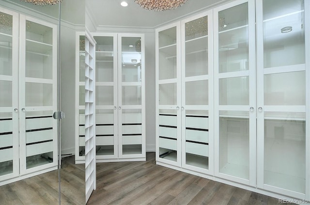 walk in closet featuring wood-type flooring