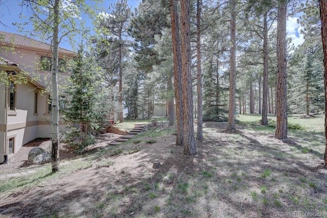 2828 Keystone Dr, Evergreen, CO 80439 - view of yard