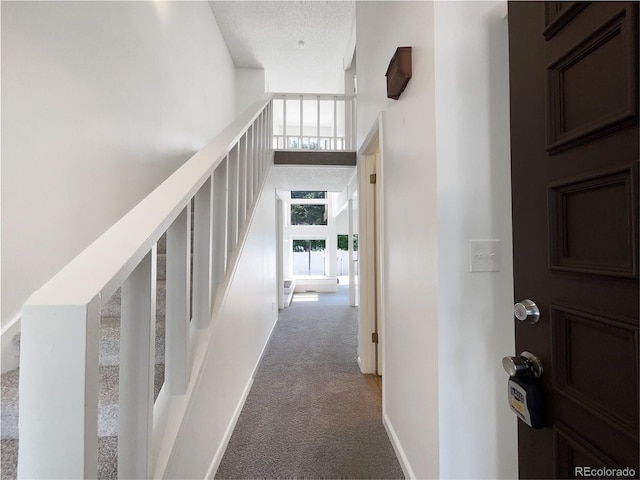 1925 28th Ave Unit 34, Greeley, CO 80634 - hallway featuring carpet flooring
