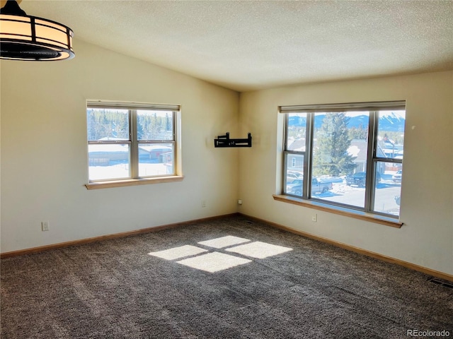 carpeted empty room with a wealth of natural light, baseboards, a textured ceiling, and vaulted ceiling