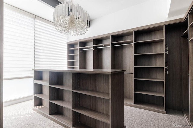 walk in closet with a chandelier and carpet