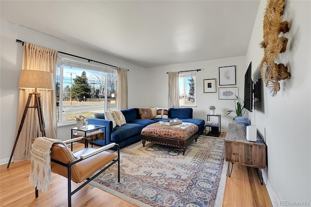 living room featuring hardwood / wood-style flooring