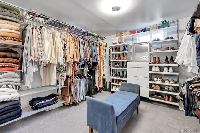 walk in closet with light carpet