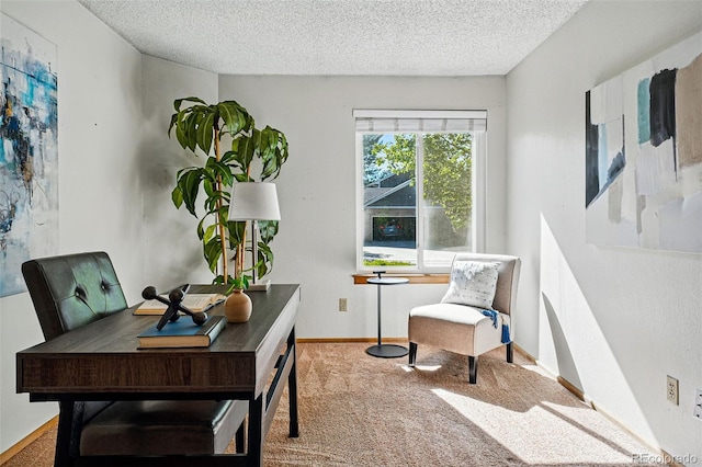 home office with carpet floors, a textured ceiling, and baseboards