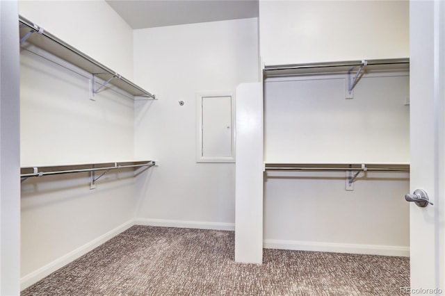 365 Casalon Pl, Superior, CO 80027 - spacious closet featuring carpet