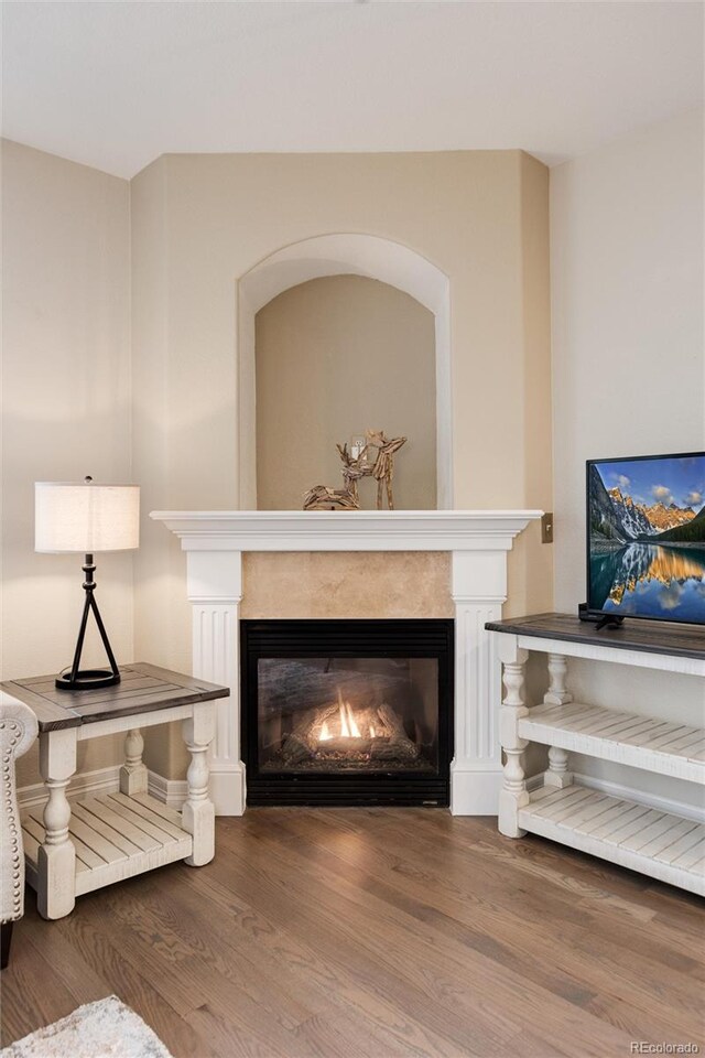 room details with hardwood / wood-style floors and a premium fireplace