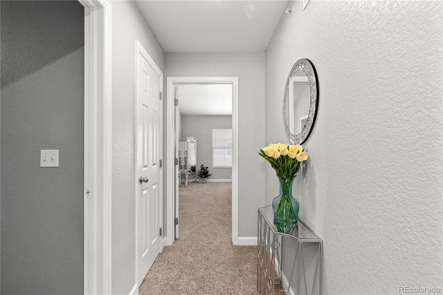 9758 Laredo St Unit 18D, Commerce City, CO 80022 - corridor featuring carpet floors, a textured wall, and baseboards