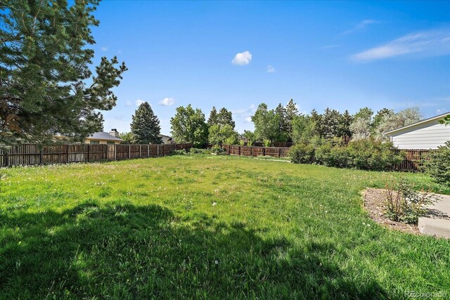 1043 Lilac Ct, Broomfield, CO 80020 - photo 18