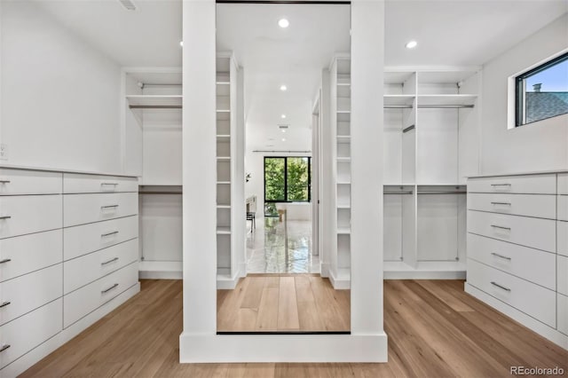 spacious closet with light wood-type flooring