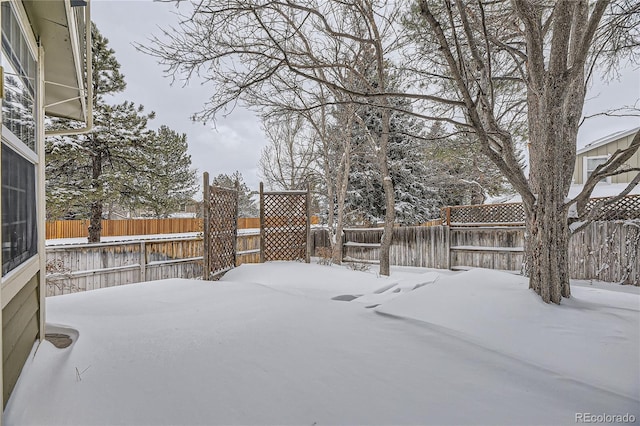 view of snowy yard