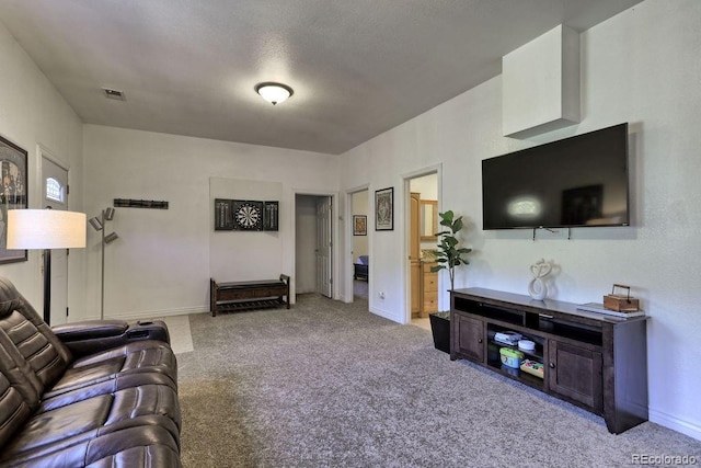 10197 Crest View Dr, Morrison, CO 80465 - photo 32