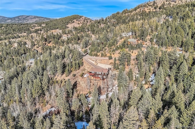 10197 Crest View Dr, Morrison, CO 80465 - photo 38