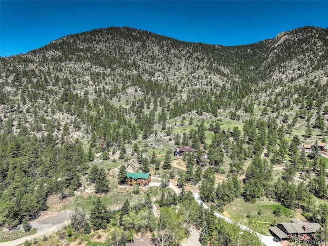 178 Cree Ct, Lyons, CO 80540 - mountain view featuring a forest