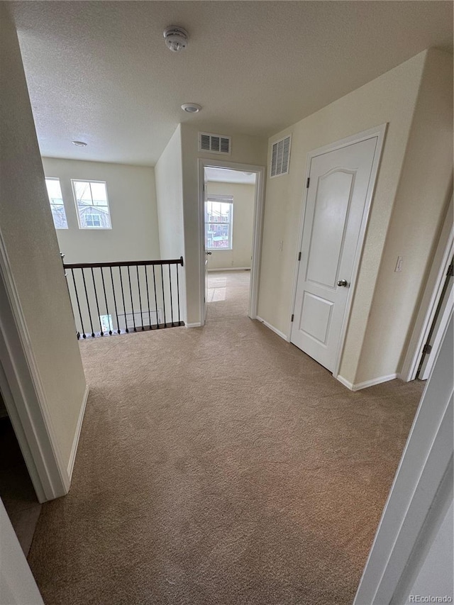 corridor with a healthy amount of sunlight, light carpet, and a textured ceiling